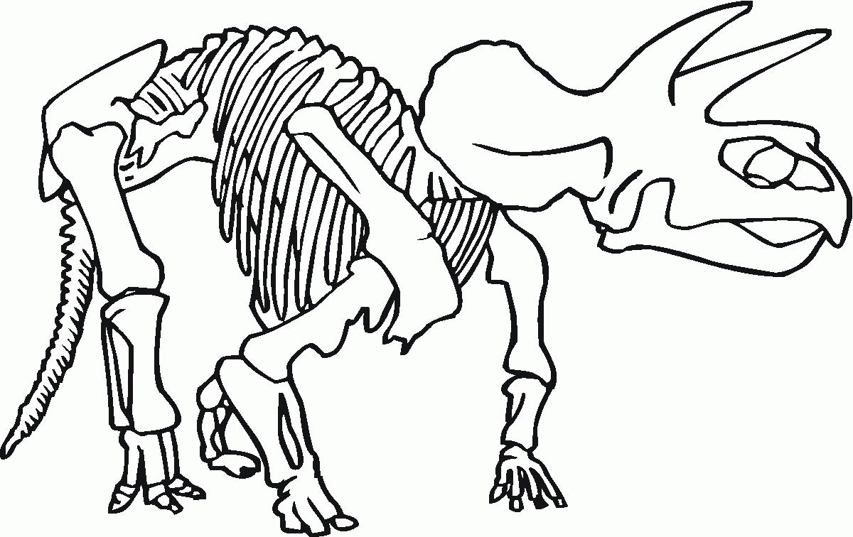 Fossil Coloring Pages