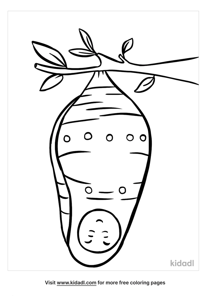 Chrysalis Coloring Pages | Free Environment-and-nature Coloring Pages |  Kidadl