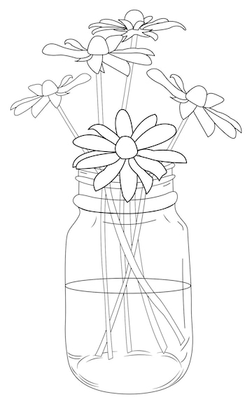 Premium Vector | Chamomile flowers in a mason jar drawing