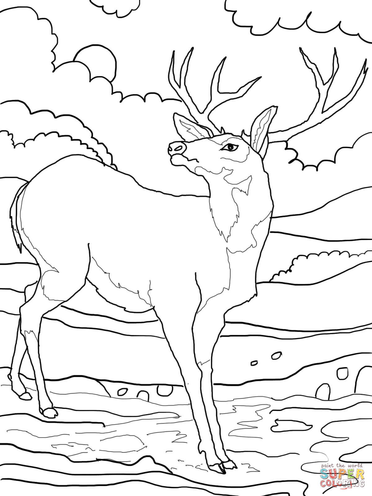 Black-Tailed Mule Deer coloring page | Free Printable Coloring Pages