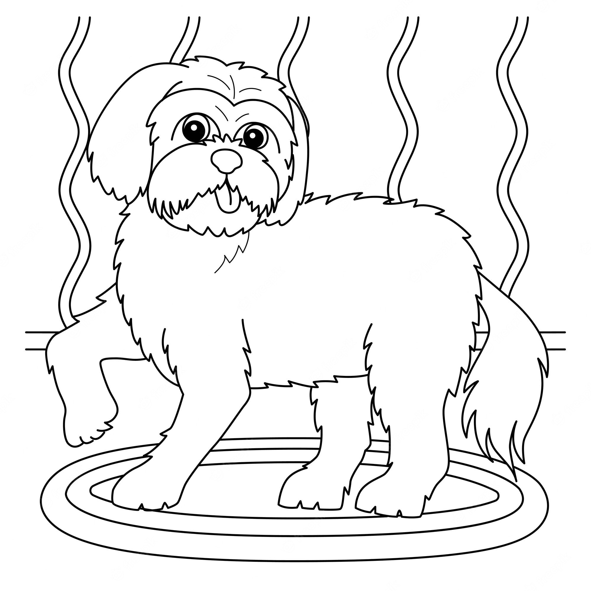Premium Vector | Maltese dog coloring page for kids