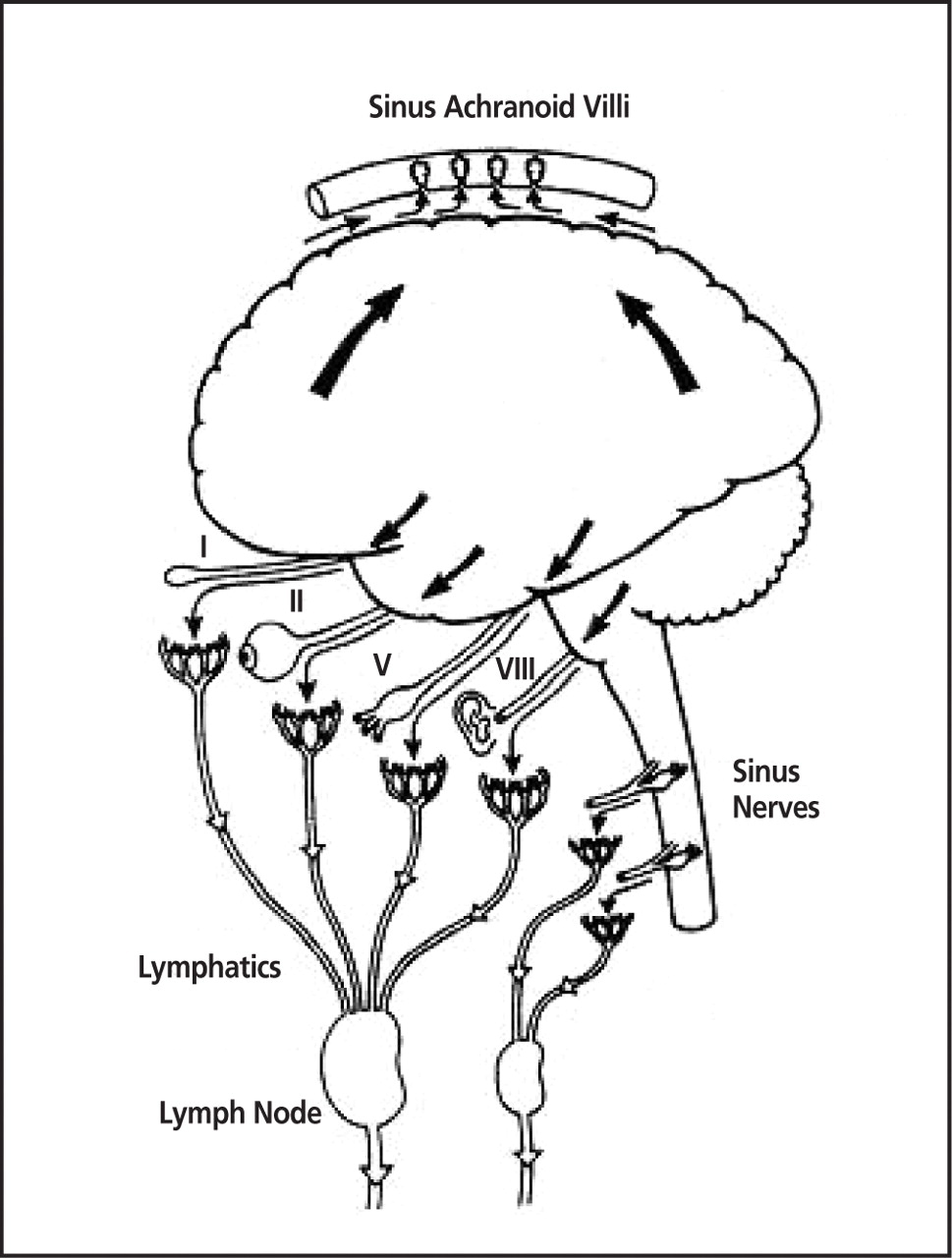 Lymphatic Drainage of the Neuraxis in Chronic Fatigue Syndrome: A  Hypothetical Model for the Cranial Rhythmic Impulse