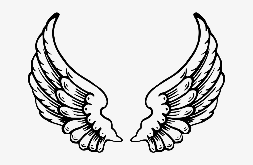 Wings - Angel Wings Coloring Pages - Free Transparent PNG Download - PNGkey