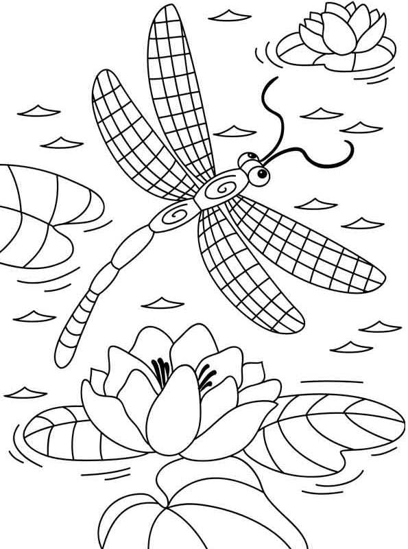 Kids-n-fun.com | Coloring page Dragonflies dragonfly water lily