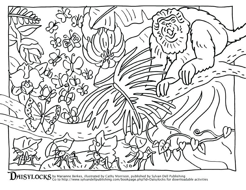 Animal Camouflage Coloring Pages Printable - Coloring Walls