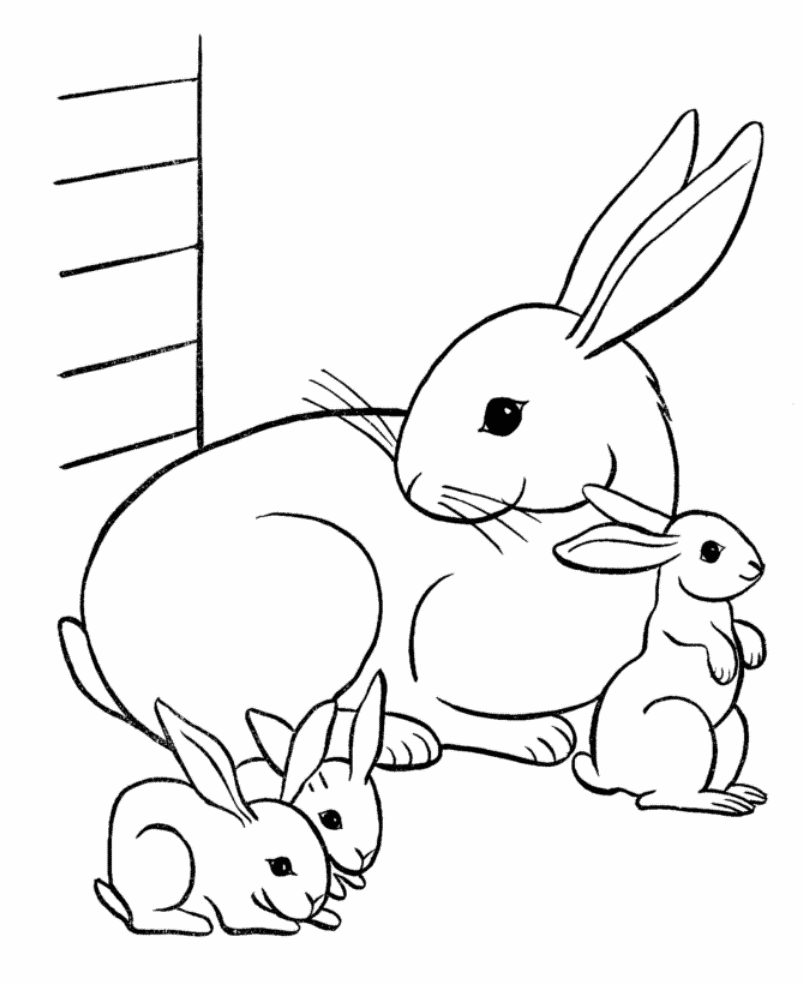 Cute Baby Animal Coloring Pages Dragoart Cute Animal Coloring ...