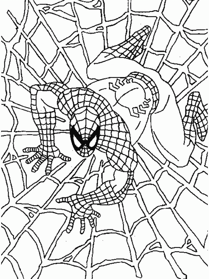 Print Spiderman Pictures To Color - Toyolaenergy.com