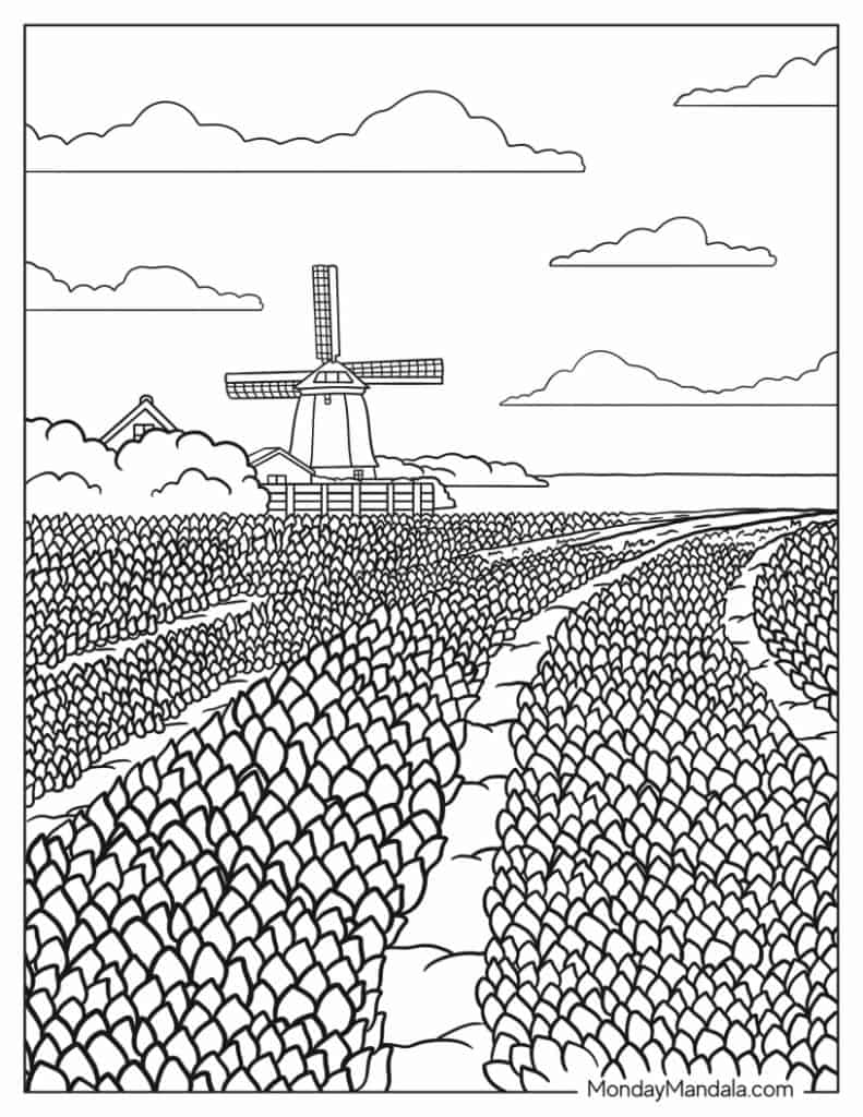 18 Tulip Coloring Pages (Free PDF ...