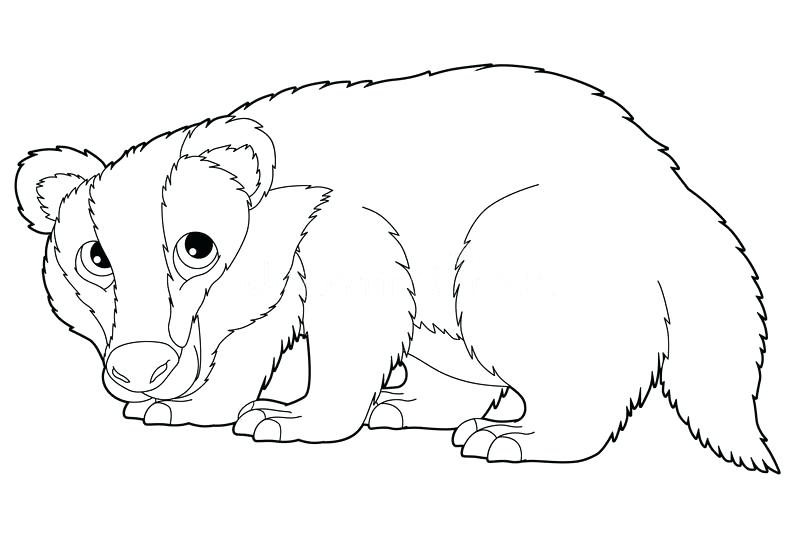 The best free Badger coloring page images. Download from 135 free ...