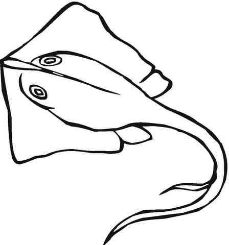 Stingray coloring page | Free Printable Coloring Pages