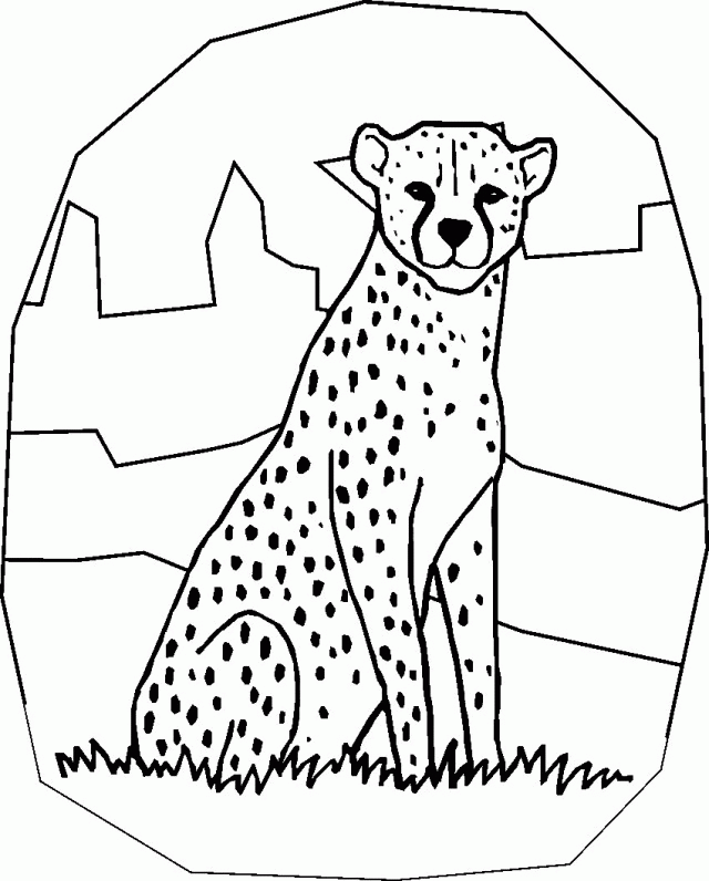 Cheetah Coloring Pages - Free Printable Cheetah Coloring Sheets