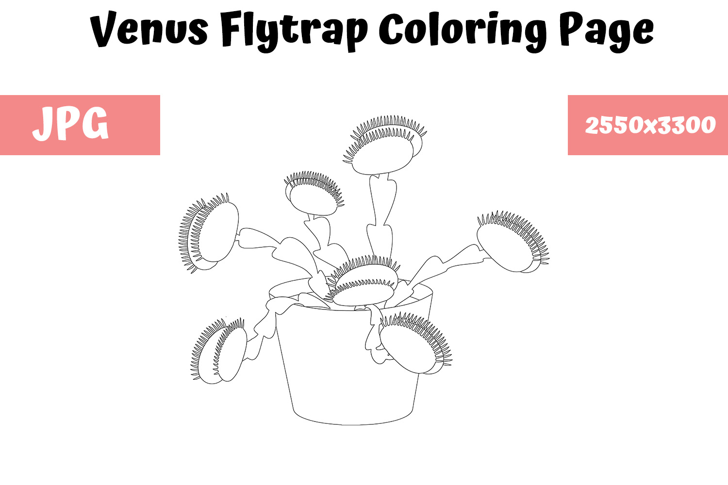 Venus Flytrap Coloring Page for Kids Graphic by MyBeautifulFiles · Creative  Fabrica