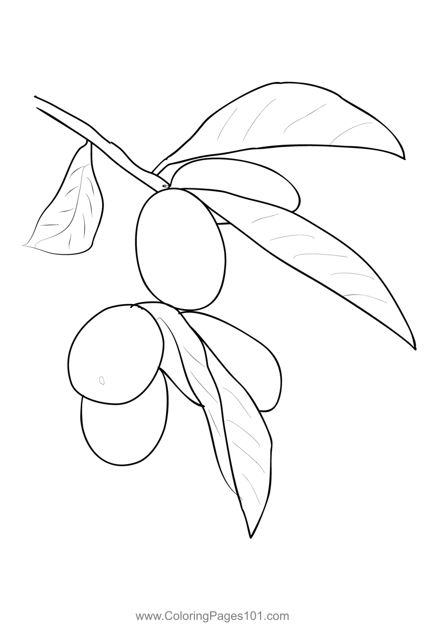 Kumquat 1 Coloring Page for Kids - Free Kumquat Printable Coloring Pages  Online for Kids - ColoringPages101.com | Coloring Pages for Kids