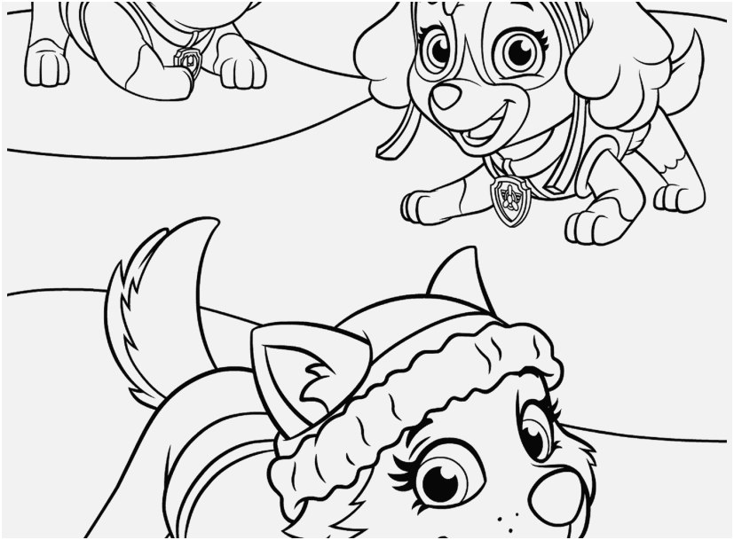 Printable Paw Patrol Coloring Pages Image Cartoons Everest Plays ...