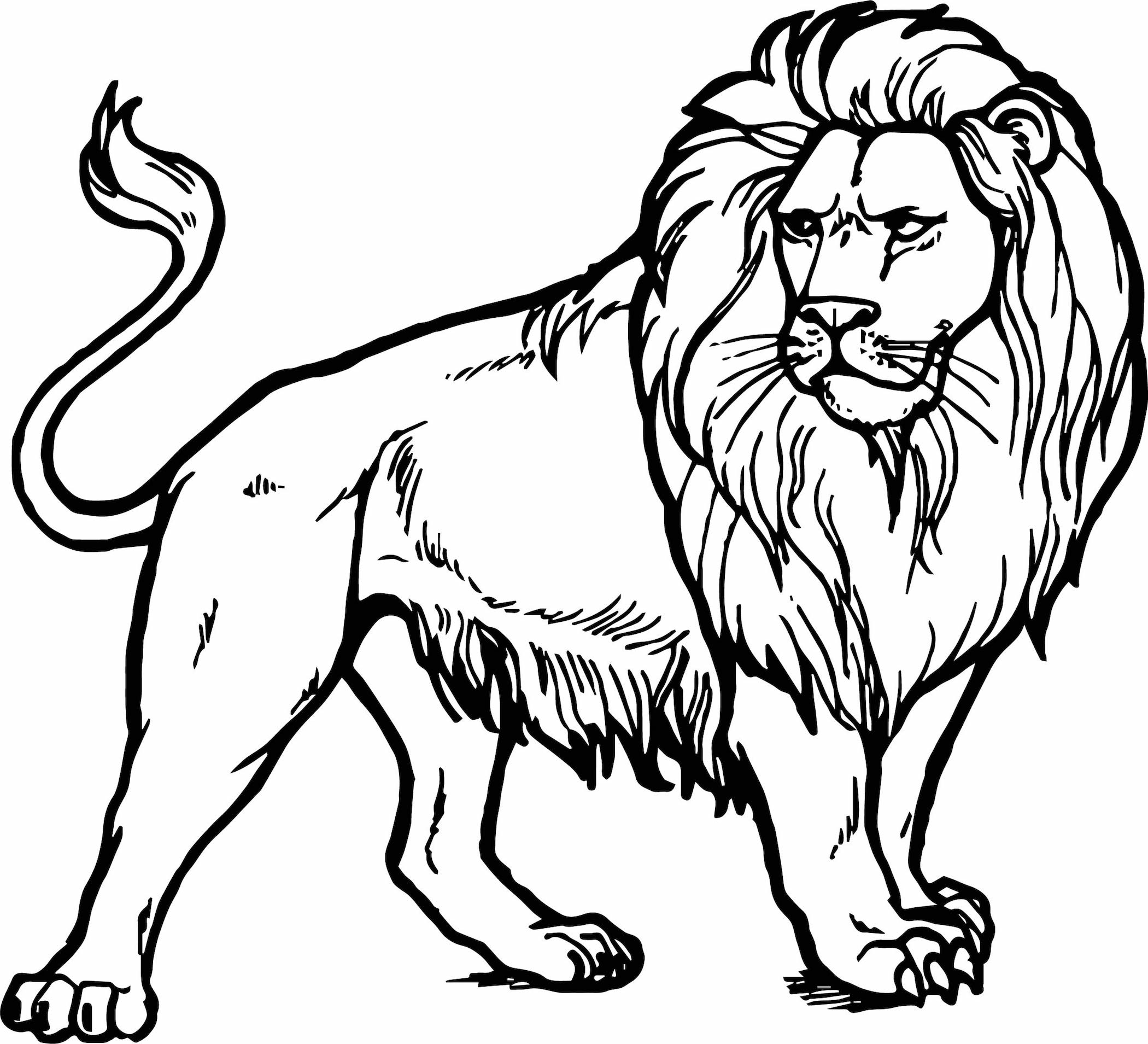 Coloring Pages : Lion Coloring Clipart And Other Free Printable ...