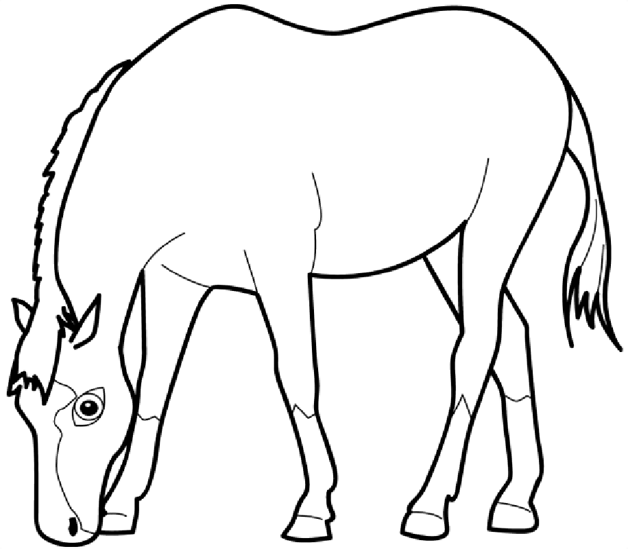 Animal Coloring Pages | ColoringMates.