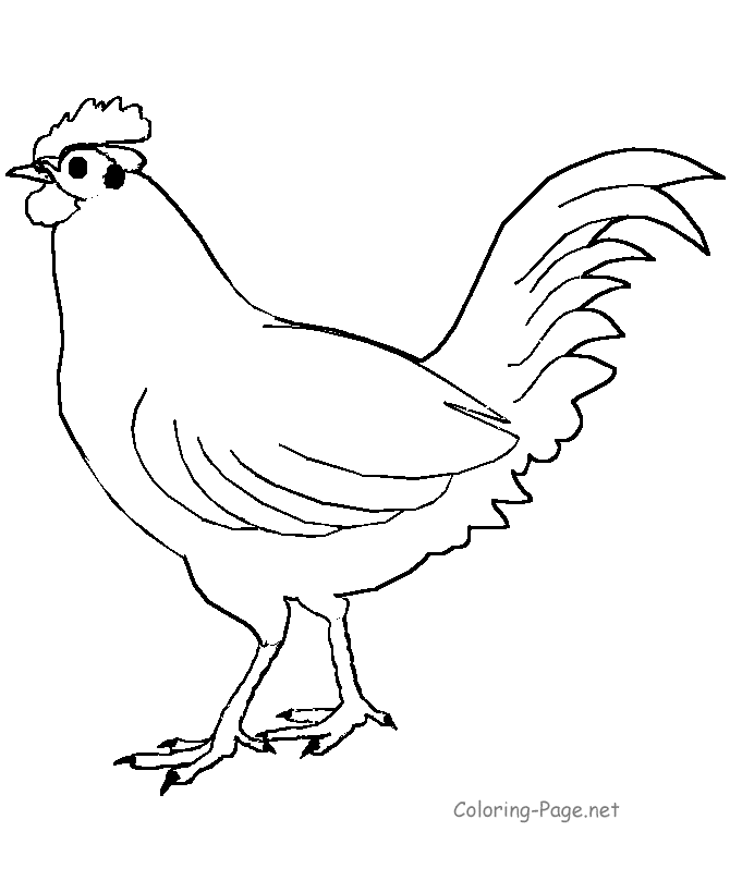 Big rooster coloring page | Rugs