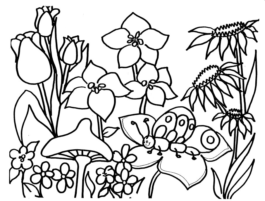 Spring Coloring Pages Free Printable Download | Coloring Pages Hub