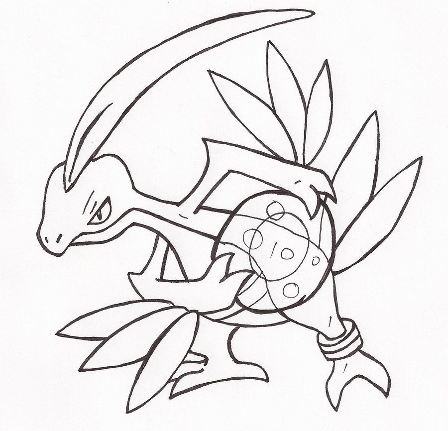 Helioptile and Pancham Pokemon battle! by 