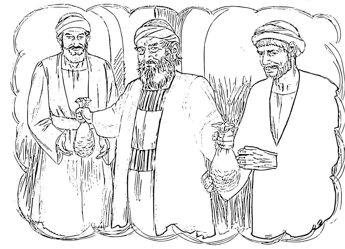 Parable Prodigal Son Coloring Pages - Colorine.net | #18201