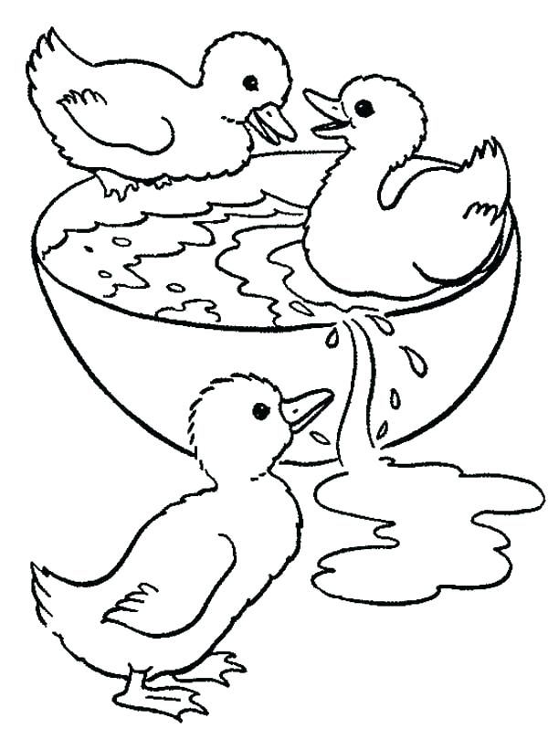 Pin on Animal Coloring Pages