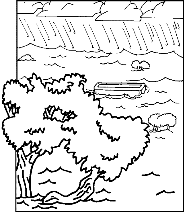 ABC's of the Flood - Coloring Book