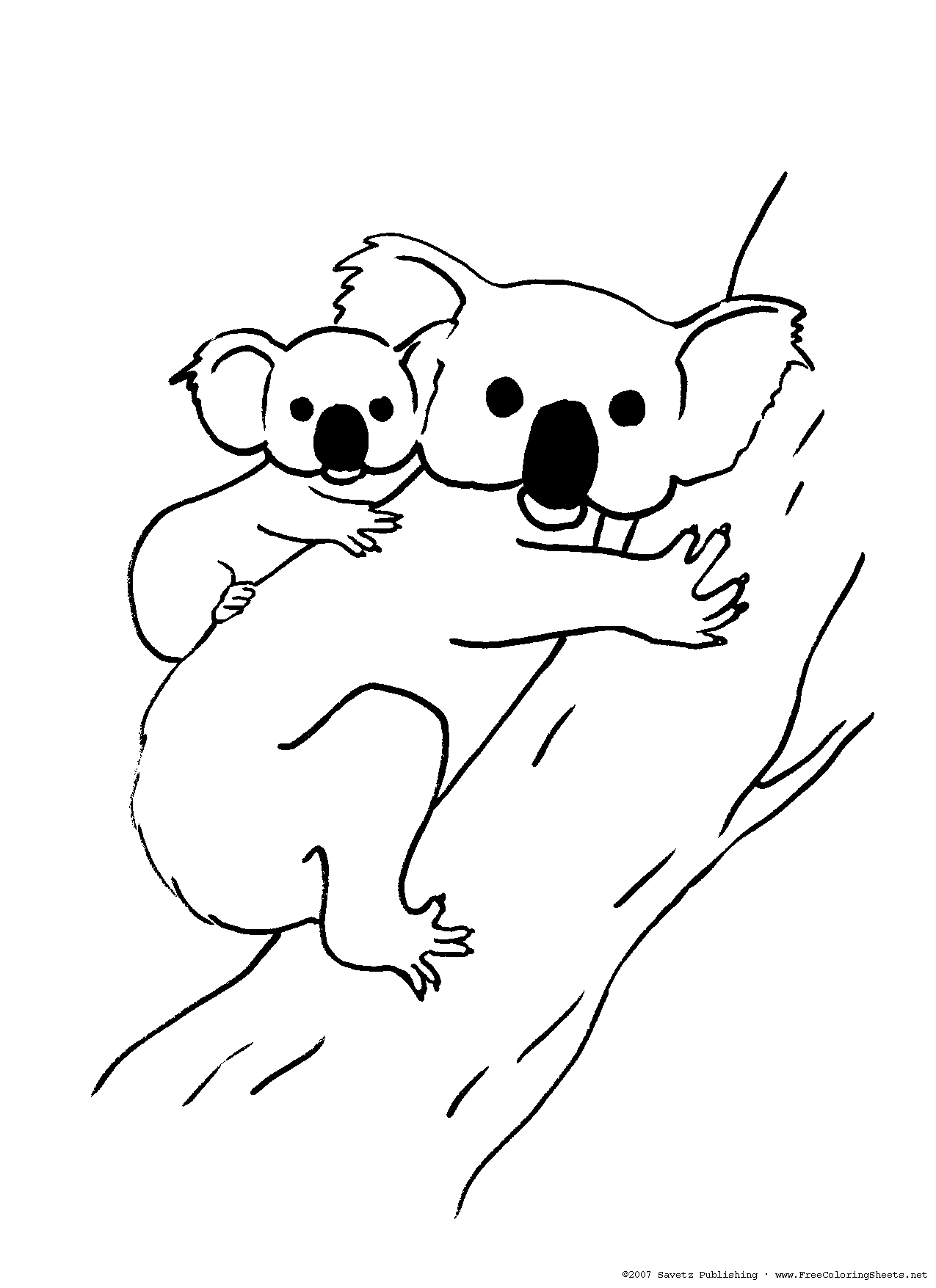 Koala Bear Coloring Page Template - Get Coloring Pages