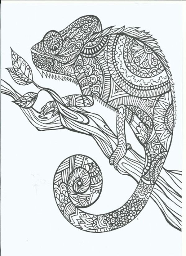 Adult Coloring Pages To Print For Birthdays - Coloring Pages For ...