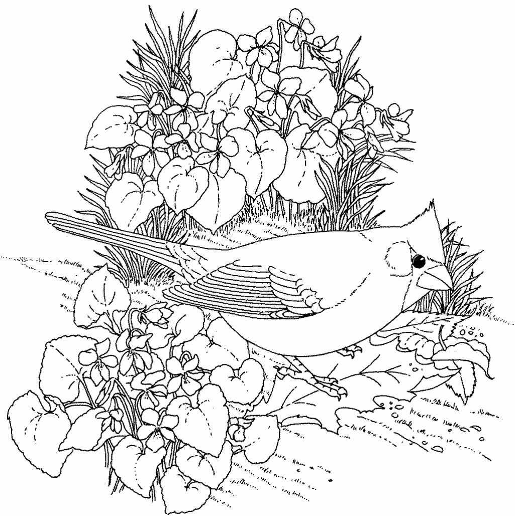 Nature Coloring Pages Printable Printable Coloring Pages Of Nature ...