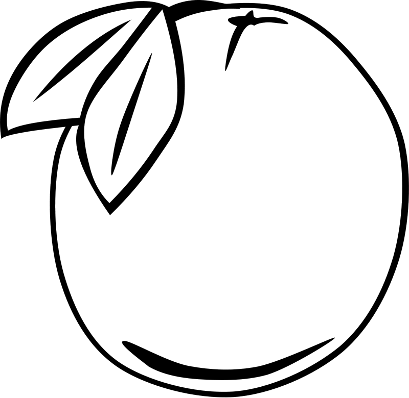 Guava Fruit Coloring Page | Free Coloring Pages For Kids - ClipArt Best -  ClipArt Best