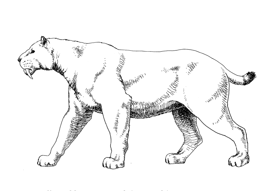 Kids-n-fun.com | 10 coloring pages of Animals of the Ice Age