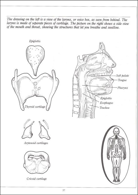 Gray's Anatomy Coloring Book - Start Exploring | Running Press |  9780762440733