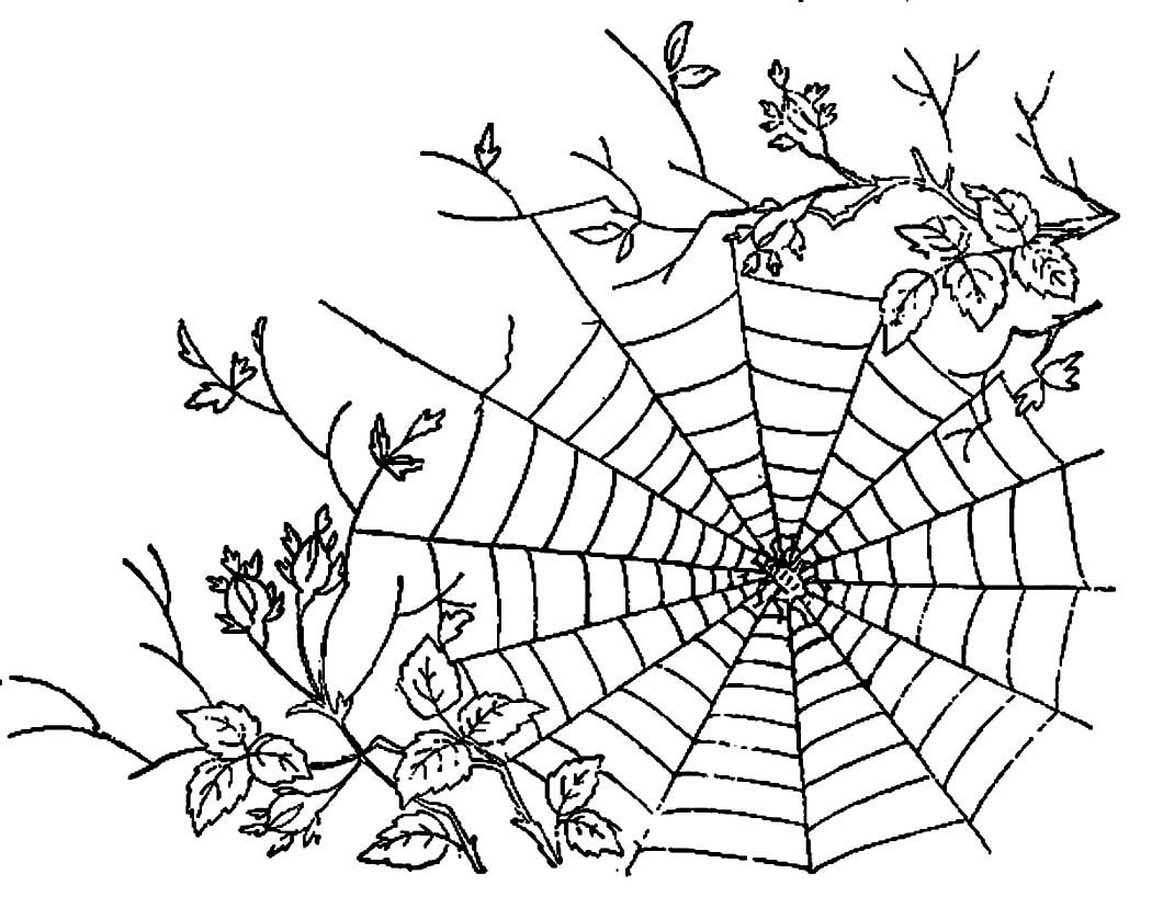 Spider Web Printable Coloring Pages ...