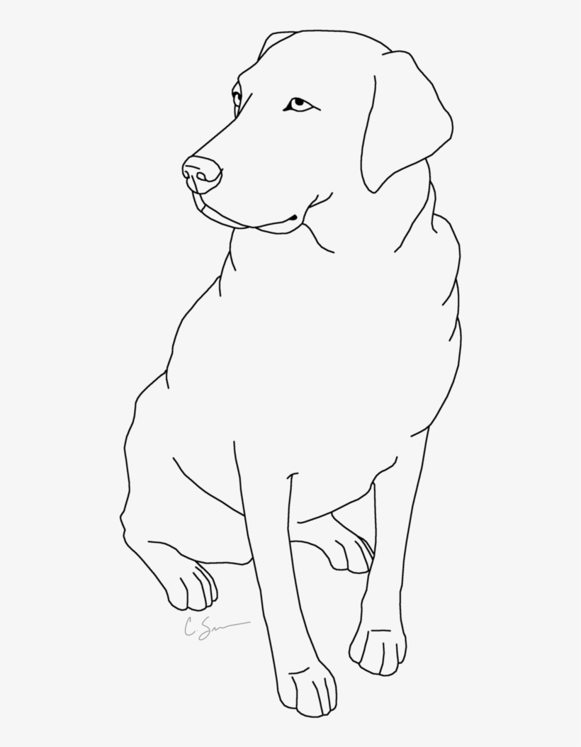 Sampler Black Lab Coloring Pages Labrador Retriever - Simple Drawings Of  Labradors PNG Image | Transparent PNG Free Download on SeekPNG