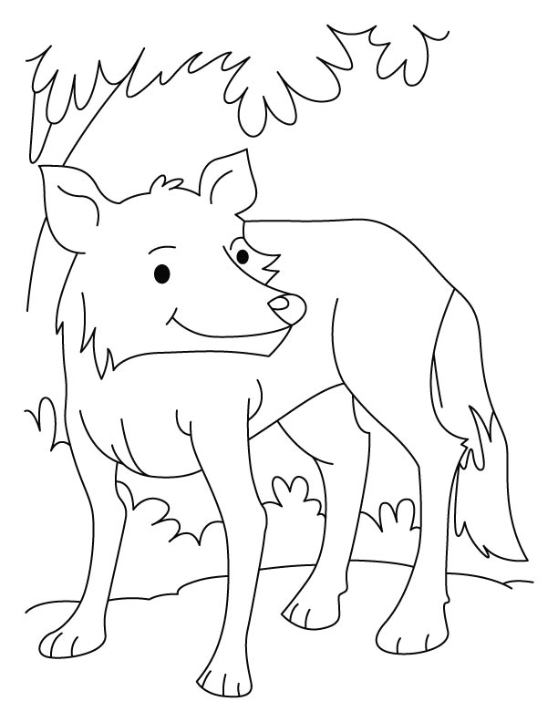 A fully grown wolf coloring pages | Download Free A fully grown wolf  coloring pages for kids | Best Coloring Pages