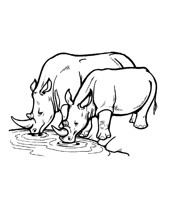 Wild Animal Coloring Pages | Rhinoceros Coloring Page and Kids 