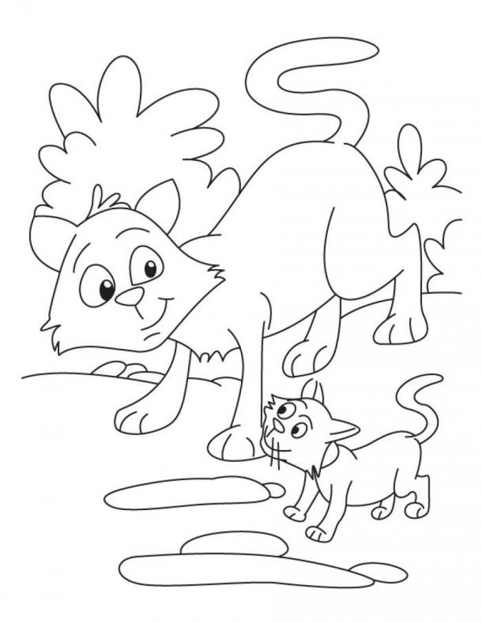 Realistic Warrior Cat Coloring Pages