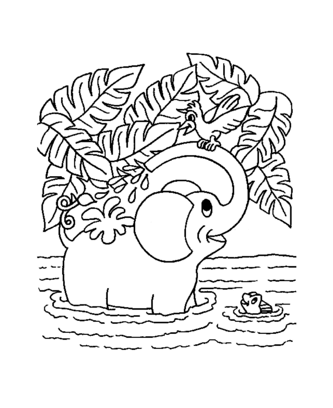 Animal Coloring Page | Free coloring pages