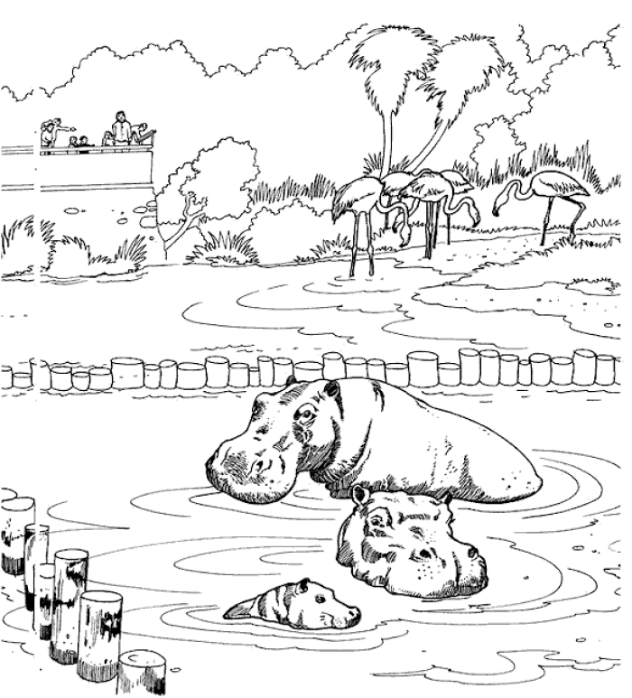 Zoo Coloring Pages