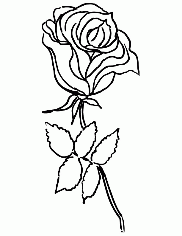 Only roses coloring pages