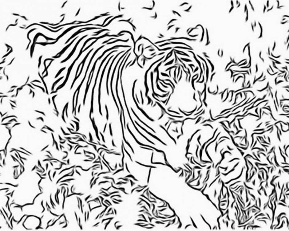 Tiger Coloring Page Free Coloring Pages For Kids 278221 Coloring 