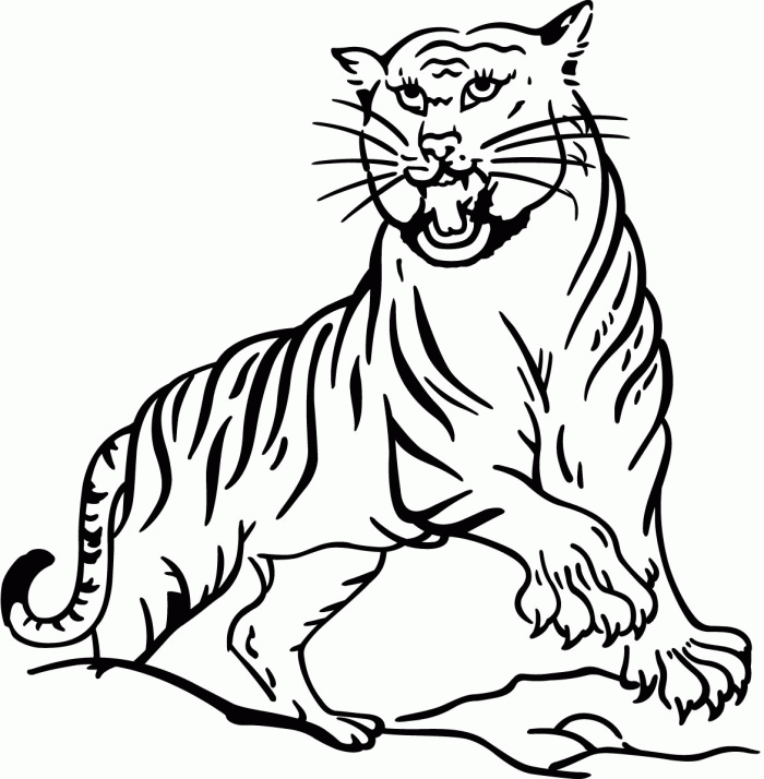 Tiger Coloring Pages Free Printable | 99coloring.com