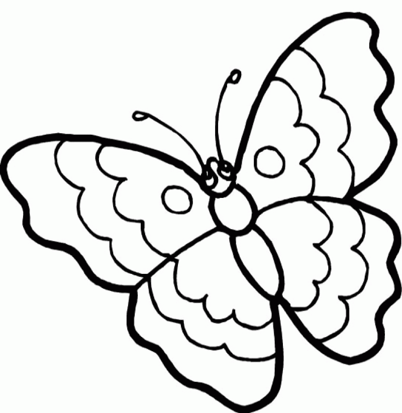 The Butterfly That Is Looking At Something Coloring Page - Kids 