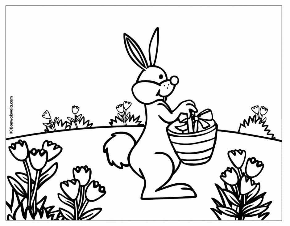 Rabbit Coloring Pages 189440 Rabbit Coloring Page