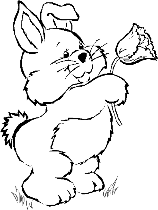 Flowers Coloring Pages For Kids To Print | COLORING WS