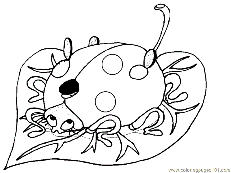 Lady Bug Coloring Pages - Free Coloring Pages For KidsFree 