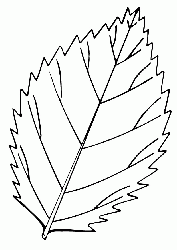 Leaf Coloring Page