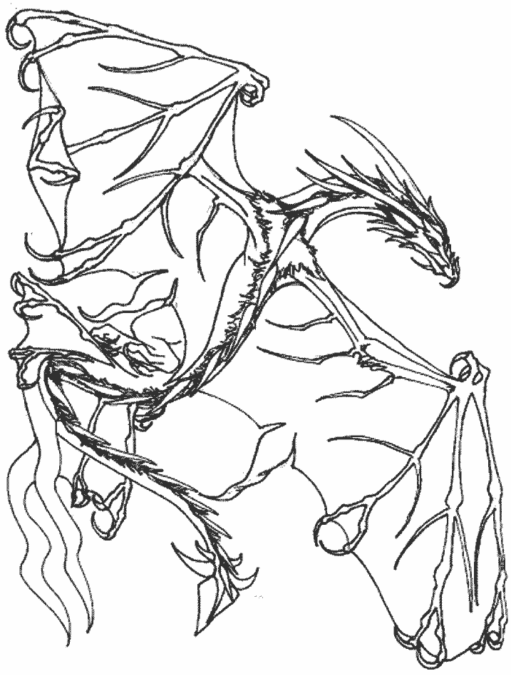 tweety coloring pages drawing and other bird cool stuff