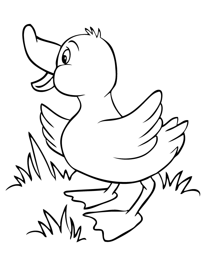 Cute Baby Duck Coloring Page | Free Printable Coloring Pages