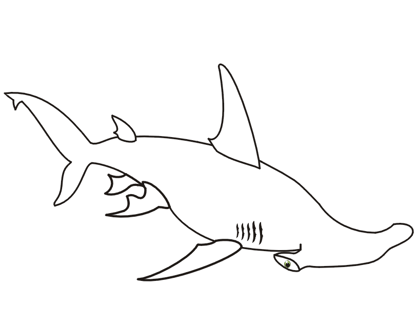 Shark Coloring Page | Side View Of Hammerhead